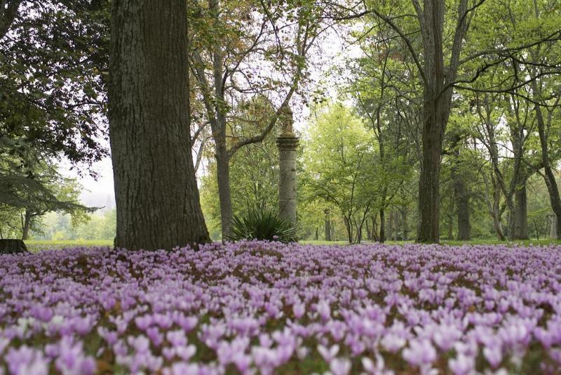 Chateau De Larroque Gimont Eksteriør billede